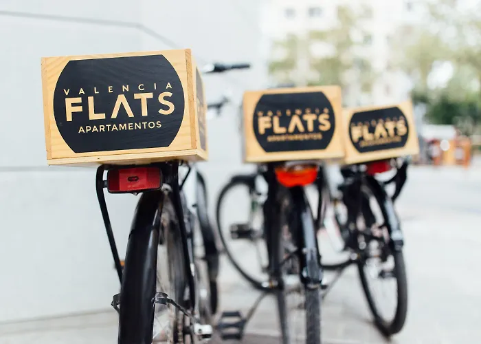 Mon Catedral 瓦伦西亚