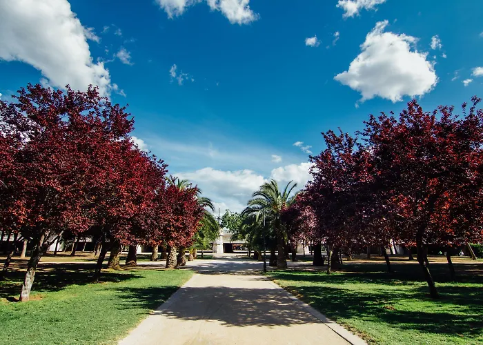 Mon Catedral * 瓦伦西亚